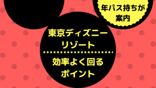 東京ディズニーランド エレクトリカルパレード 鑑賞後の行動別オススメ鑑賞場所 はろりくブログ