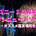 東京ディズニーランド エレクトリカルパレード 鑑賞後の行動別オススメ鑑賞場所 はろりくブログ